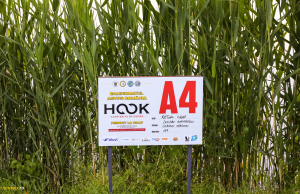 Galerie Foto Campionatului AGVPS Seniori Hook Carp Baits