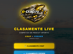 Un sistem de afișare LIVE