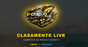 Un sistem de afișare LIVE