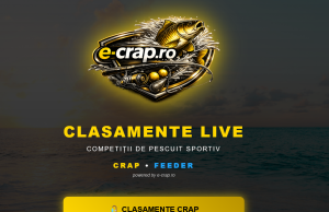 Un sistem de afișare LIVE