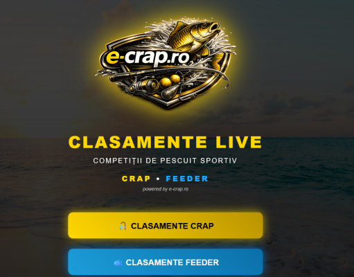 Un sistem de afișare LIVE